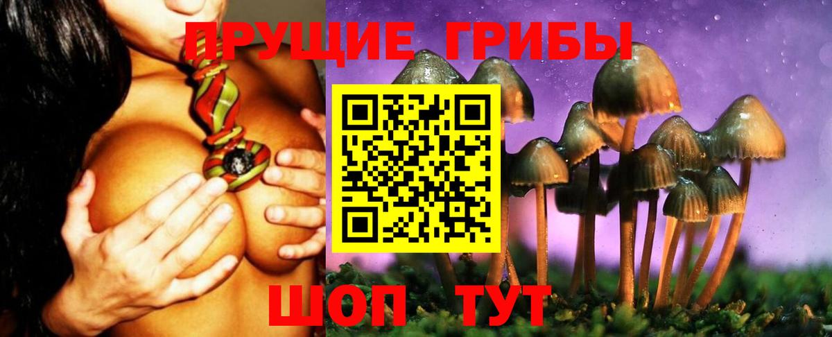 Верхний Уфалей  Псилоцибиновые грибы GOLDEN TEACHER  Вход с VPN  Псилоцибиновые грибы мухоморы 